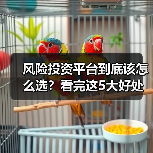 风险投资平台到底该怎么选?看完这5大好处与4个致命风险再决定(图3) 风险投资平台到底该怎么选?看完这5大好处与4个致命风险再决定(图3)