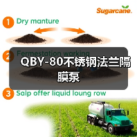 QBY-80不锈钢法兰隔膜泵(图4) QBY-80不锈钢法兰隔膜泵(图4)