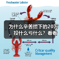 为什么辛苦攒下的20万,投什么亏什么?看看老周的理财账户就知道了(图4) 为什么辛苦攒下的20万,投什么亏什么?看看老周的理财账户就知道了(图4)