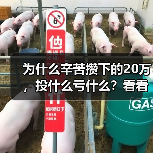 为什么辛苦攒下的20万,投什么亏什么?看看老周的理财账户就知道了(图3) 为什么辛苦攒下的20万,投什么亏什么?看看老周的理财账户就知道了(图3)