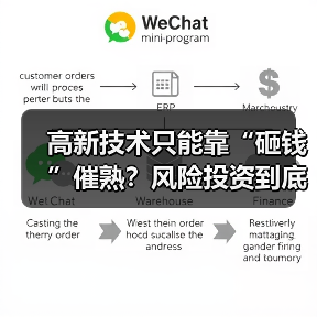 高新技术只能靠“砸钱”催熟?风险投资到底是不是科技创新的万能钥匙?(图2) 高新技术只能靠“砸钱”催熟?风险投资到底是不是科技创新的万能钥匙?(图2)
