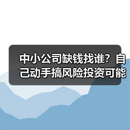 中小公司缺钱找谁?自己动手搞风险投资可能吗?(图4) 中小公司缺钱找谁?自己动手搞风险投资可能吗?(图4)