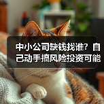 中小公司缺钱找谁?自己动手搞风险投资可能吗?(图3) 中小公司缺钱找谁?自己动手搞风险投资可能吗?(图3)