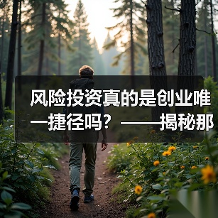 风险投资真的是创业唯一捷径吗?——揭秘那些被光环掩盖的致命陷阱(图4) 风险投资真的是创业唯一捷径吗?——揭秘那些被光环掩盖的致命陷阱(图4)